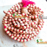 1008 Pure Tulsi Beads Japa Mala -Holy Basil Seeds For Prayer Wholesaler, Exporter and Suppliers in India and Worldwide. Buy Original Tulsi Mala Products Online from www.originaltulsimala.com