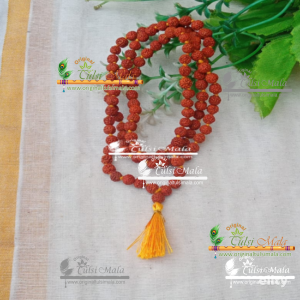 Holy Original Real Rudraksha Kanthi, Mala 108 + 1 Beads