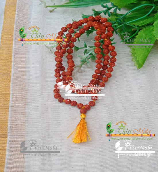 Holy Original Real Rudraksha Kanthi, Mala 108 + 1 Beads