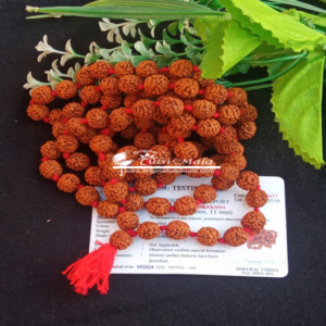 rudraksh-japa-mala-108-bead-one-guru-beads-lab-certified