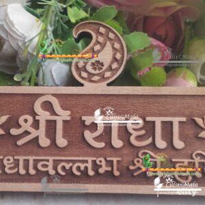 Radhavallabh Shri Harivansh Naam Sewa Vrindavan Dhaam