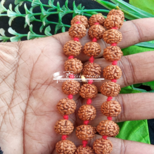 Rudraksh Japa Mala 108 Beads with One Guru Beads-Lab Certified