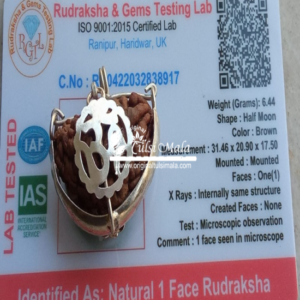 1Face Rudraksh With Silver Cap with lab Certified