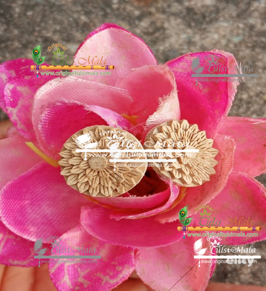 Tulsi Basil Earring Original Beautiful Design