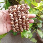 Shyama Tulsi Japa Radha Beads Mala Round Shape - 12 mm