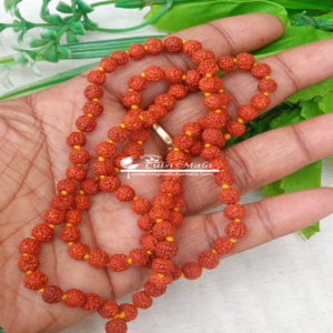 Holy Original Real Rudraksha Kanthi, Mala 108 + 1 Beads
