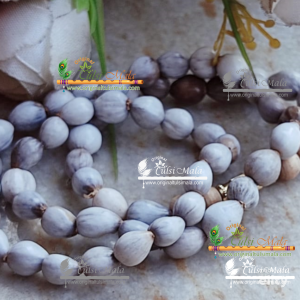 vaijanti neck mala