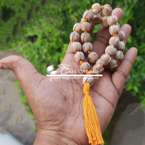 Holi Lotus 27+1 Beads Japa Mala With Yellow Tassel Wholesaler, Exporter and Suppliers in India and Worldwide. Buy Original Tulsi Mala Products Online from www.originaltulsimala.com