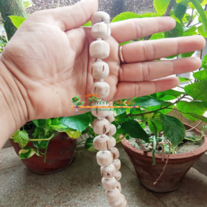 27 Beads Pure Tulsi Japa Mala (Beads Size 20 MM)