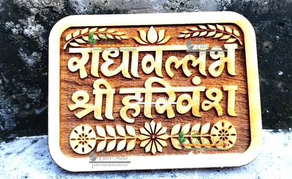 Radha Vallabh Shri Harivansh-Naam Sewa Prabu Shri Premanand Maharaj