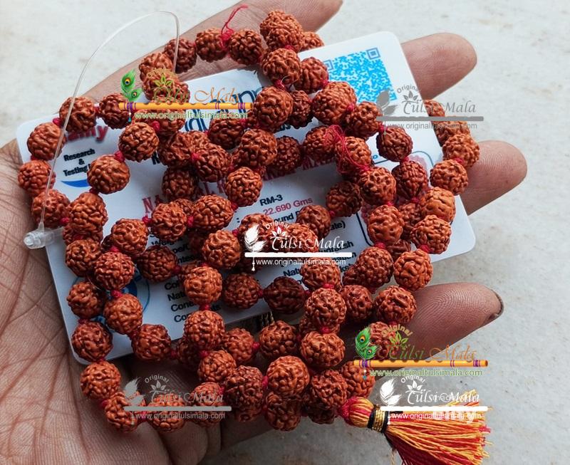 Five Mukhi Rudraksha Mala,Counter Mala and Japa Bead Bag Set