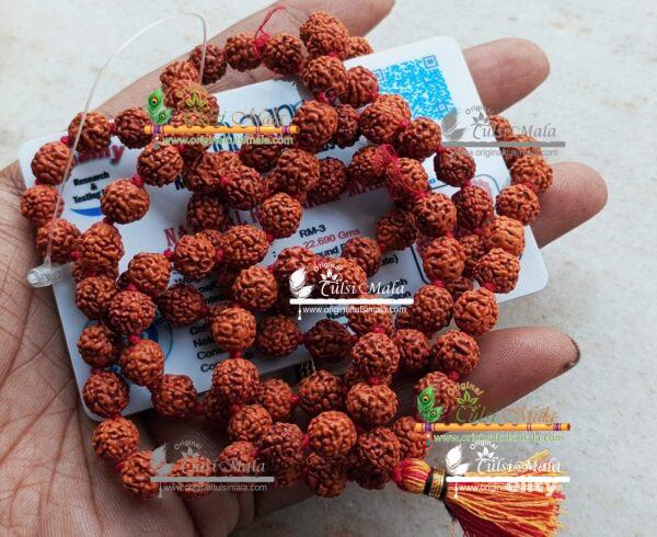 Five Mukhi Rudraksha Mala 108 Beads with Certificate