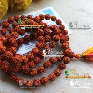 Five Mukhi Rudraksha Mala 108 Beads with Certificate