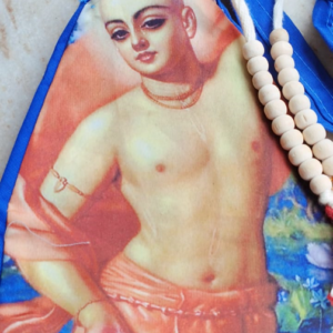 Digital Gauranga Mahaprabhu Japa Jholi