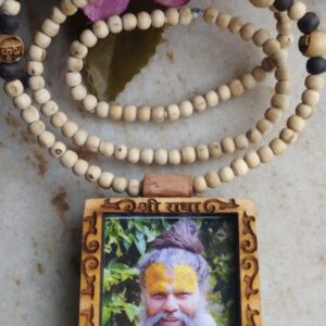 Shri Hit Premanand Ji Maharaj