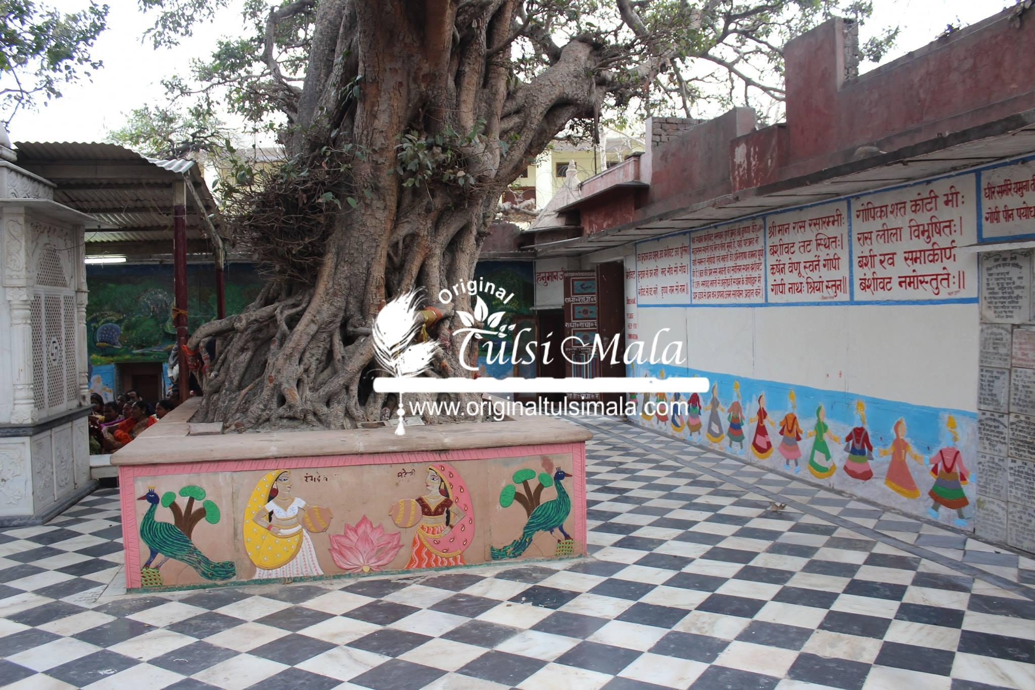 Banshi Vata, Vrindavan Prasadi Buy Online