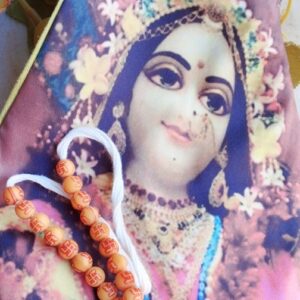 Shri Radha Rani Chanting Bead Bag with Sakshi Mala buy online