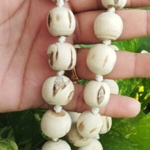 Pure Tulsi Beads Berkha Mala
