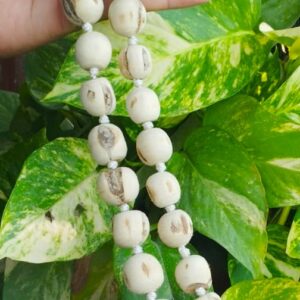 Pure Tulsi Beads Berkha Mala