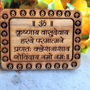 krishnaya vasudevaya mahamantra naam seva