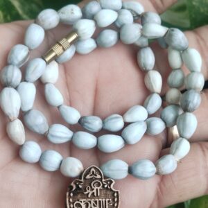 Krishna Pyari Vaijanti beads Mala With Tulsi Locket For Neck – Super Blessed