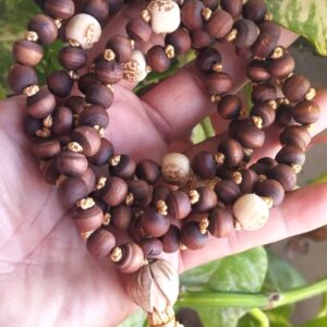 Shayma Original Tulsi Beads Kriya Yog Mala, Neck Mala