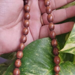 Mridanga Original Tulsi Kanthi Mala – Traditional Look