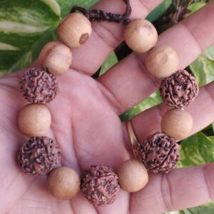 Rudraksha, Tulsi and Silver Beads Bracelet