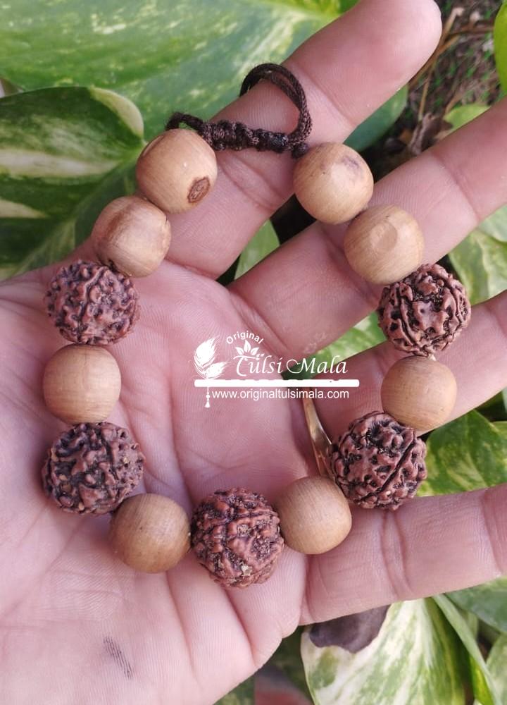 Rudraksha, Tulsi and Silver Beads Bracelet