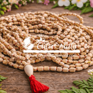1008+1 Original Shyama Tulsi Beads Hajari Japa Mala With Chanting bag -For Prayer / Chanting