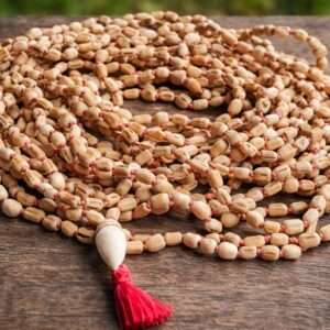 1008+1 Original Shyama Tulsi Beads Hajari Japa Mala With Chanting bag -For Prayer / Chanting